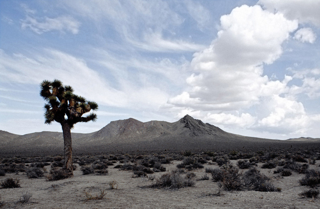 Nevada