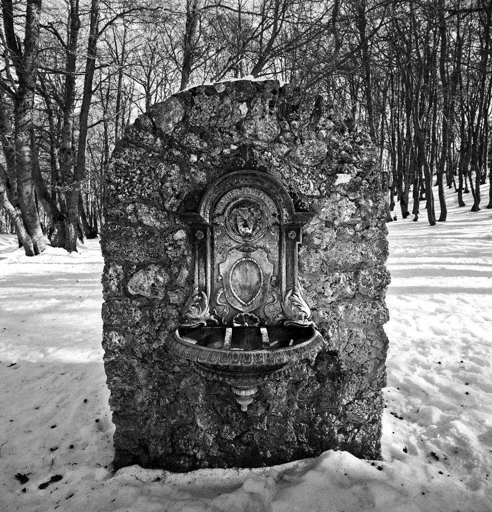 bosco-di-sant'antonio-4